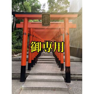 【狛蛇のいる鳥居くぐり開運御守り】金色 春(その他)