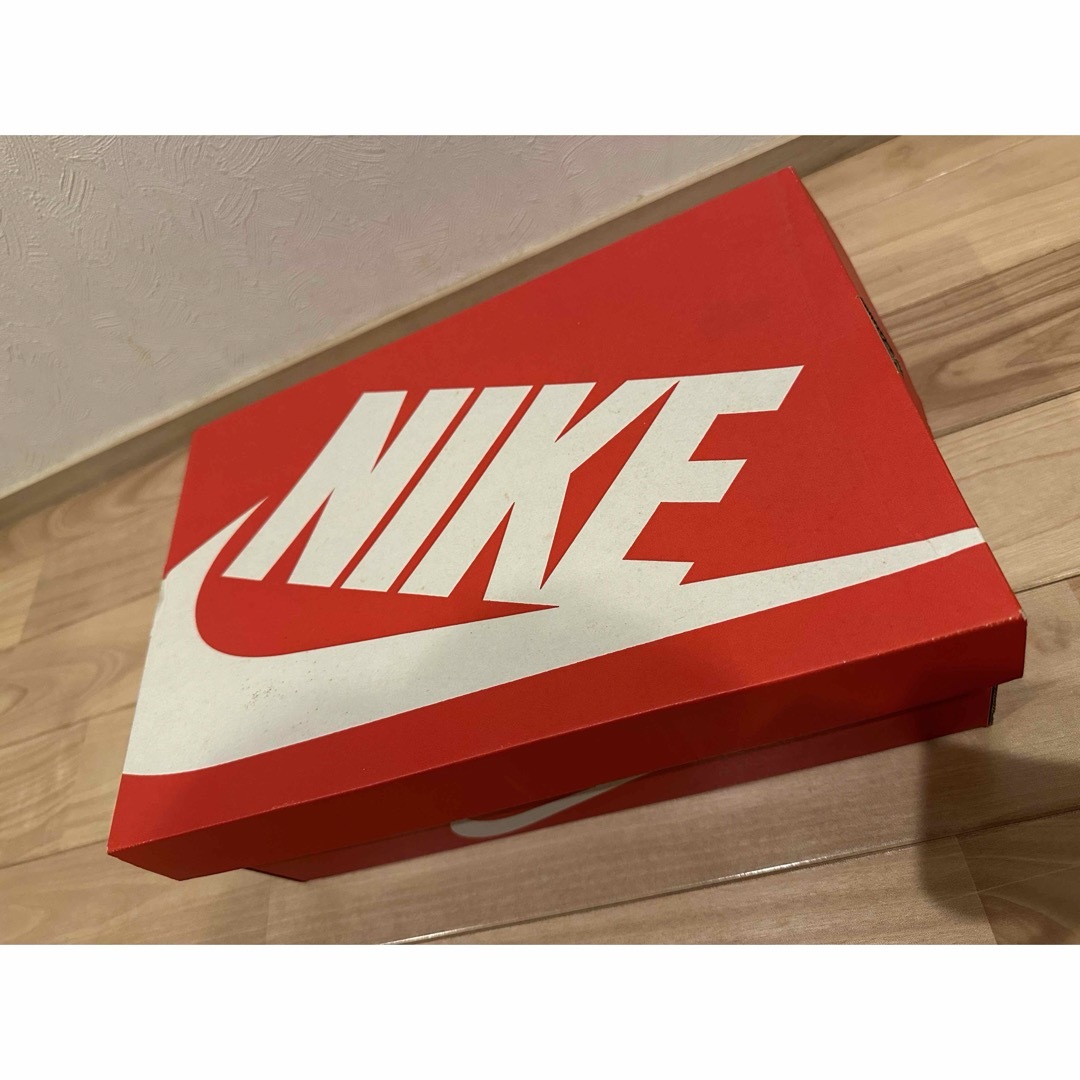 NIKE(ナイキ)のNIKE AIR MAX 1 QSフラックス/フラックス-バロック ブラウン メンズの靴/シューズ(スニーカー)の商品写真