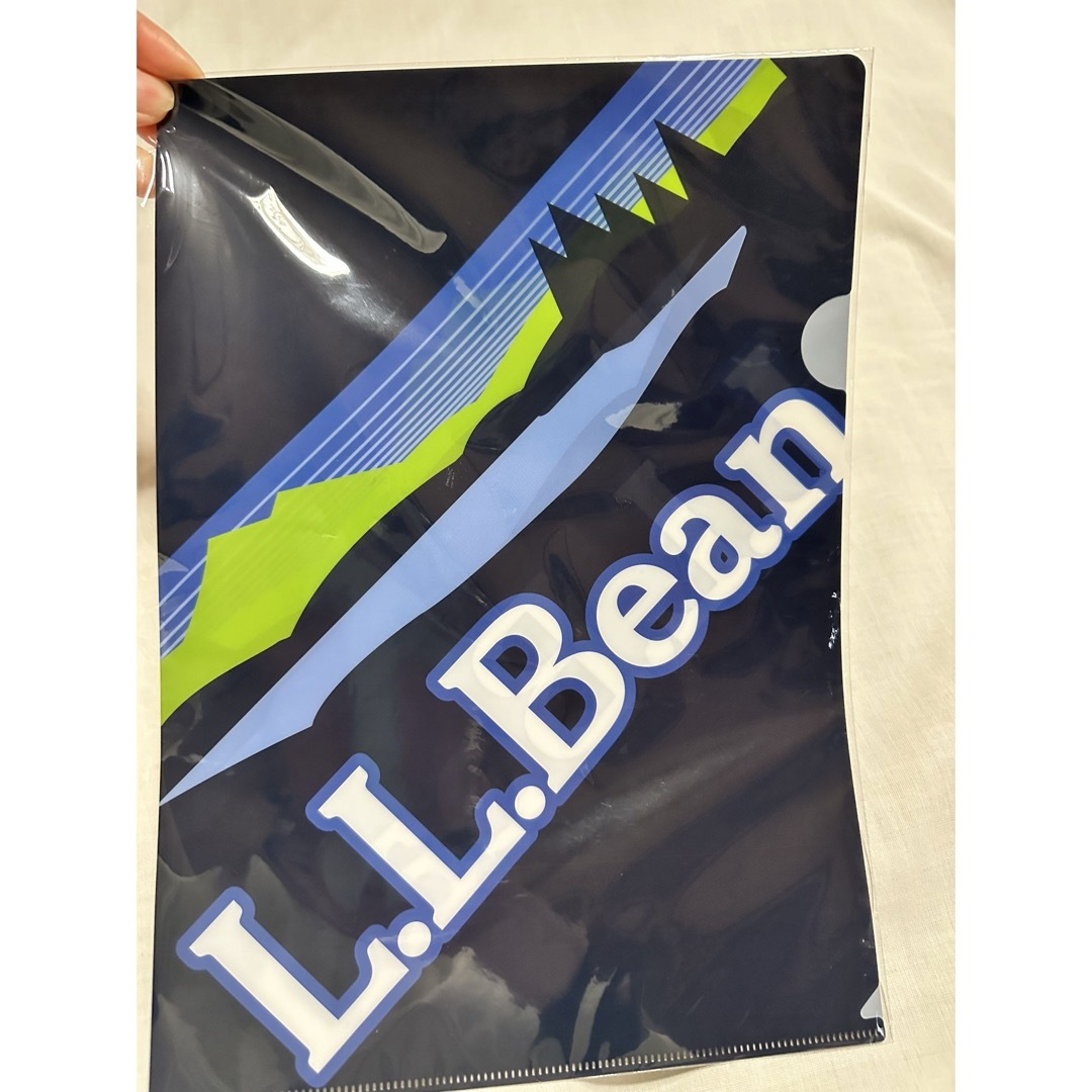 L.L.Bean(エルエルビーン)のエルエルビーン　L.L.Bean クリアファイル　緑　ファイル インテリア/住まい/日用品の文房具(ファイル/バインダー)の商品写真