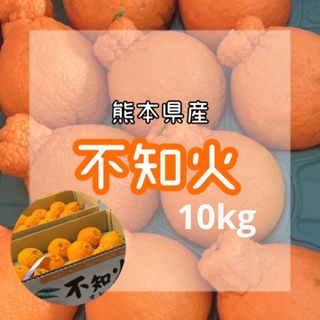 熊本県産 家庭用 不知火 10kg デコみかん(フルーツ)