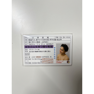エグザイル トライブ(EXILE TRIBE)のGENERATIONS 少年クロニクル 白濱亜嵐 免許証風カード(男性タレント)