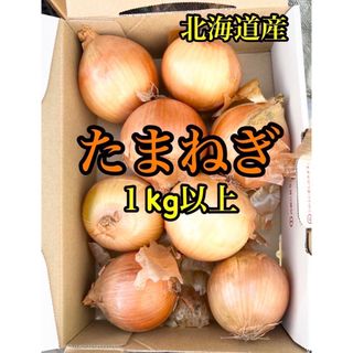 玉ねぎ　Ｍサイズ　1キロ  正規品(野菜)