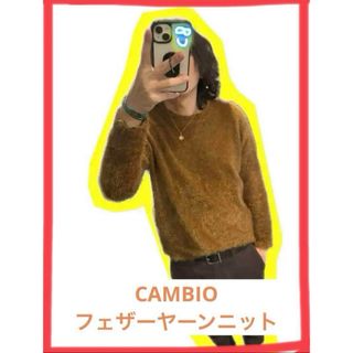 カンビオ(Cambio)のカンビオcambio フェザーヤーンニット プルオーバー  セーター　サイズM(ニット/セーター)