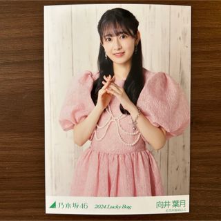 ノギザカフォーティーシックス(乃木坂46)の乃木坂46 向井葉月 生写真(アイドルグッズ)