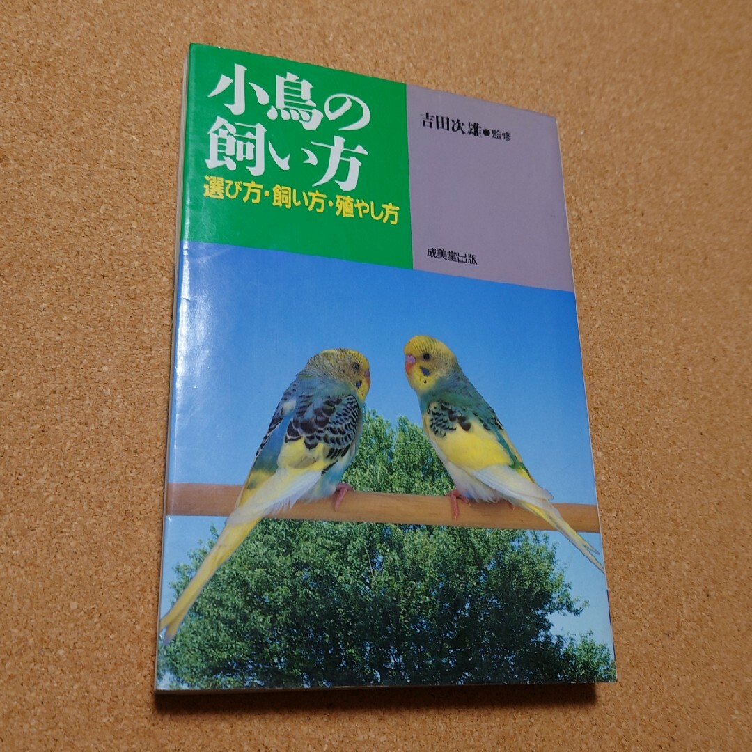 「小鳥の飼い方 選び方・飼い方・殖やし方」 エンタメ/ホビーの本(趣味/スポーツ/実用)の商品写真