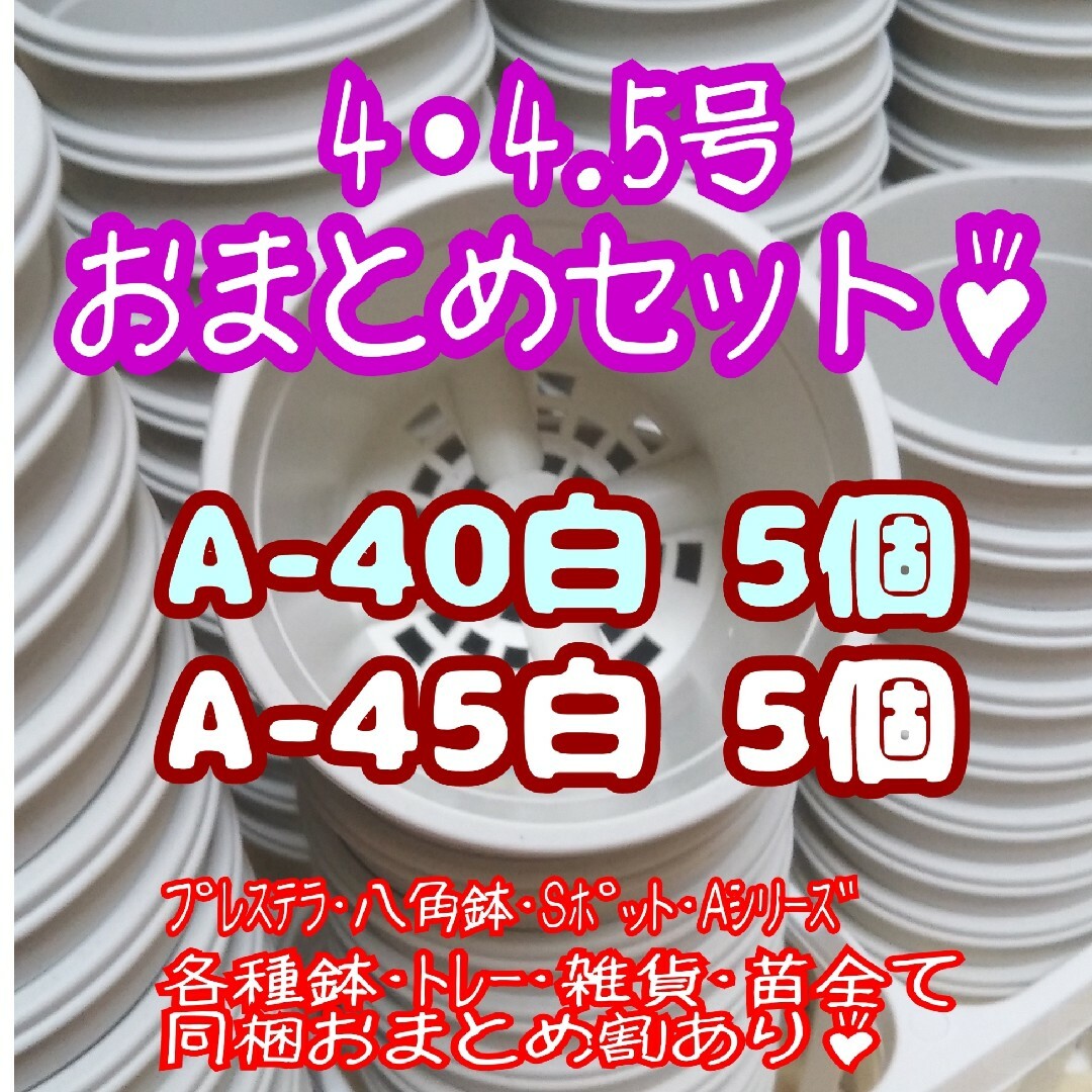 プラ鉢10個おまとめセット♪【A-40・A-45 各5個】プレステラ多肉 ハンドメイドのフラワー/ガーデン(プランター)の商品写真