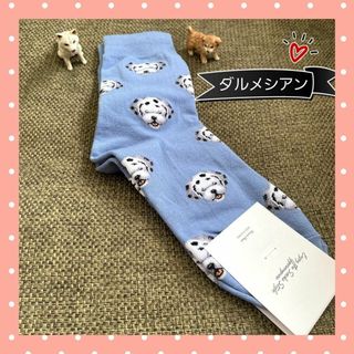 ♥可愛い♥ 新品 犬 いぬ 柄 ダルメシアン ソックス 単品 靴下 プレゼント(ソックス)