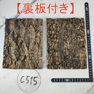 c515  【裏板付き】 コルク樹皮 コルク板 バージンコルク 15×20cm(爬虫類/両生類用品)