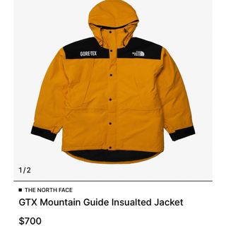 ザノースフェイス(THE NORTH FACE)のTHE NORTH FACE MOUNTAIN GUIDE INSULATED (ダウンジャケット)