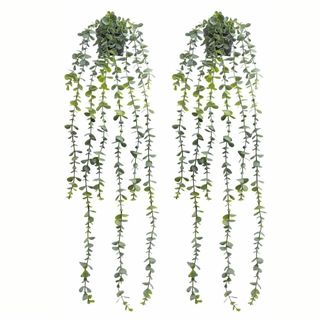 【色: ユーカリ】AOKKR 観葉植物 吊り下げ フェイクグリーン 2個セット (その他)