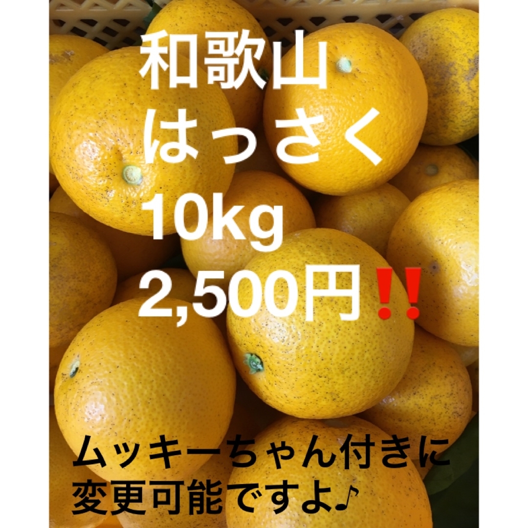 和歌山　はっさく　ご家庭用 食品/飲料/酒の食品(フルーツ)の商品写真