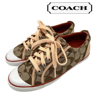 COACH - 〈極美品〉COACH コーチ【23.5cm】シグネチャー スニーカーの