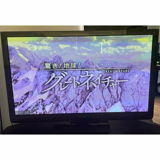 Panasonic VIERA TH-P42R2 テレビ