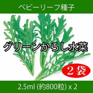 ベビーリーフ種子 B-21 グリーンからし水菜 2.5ml 約800粒 x 2袋(野菜)