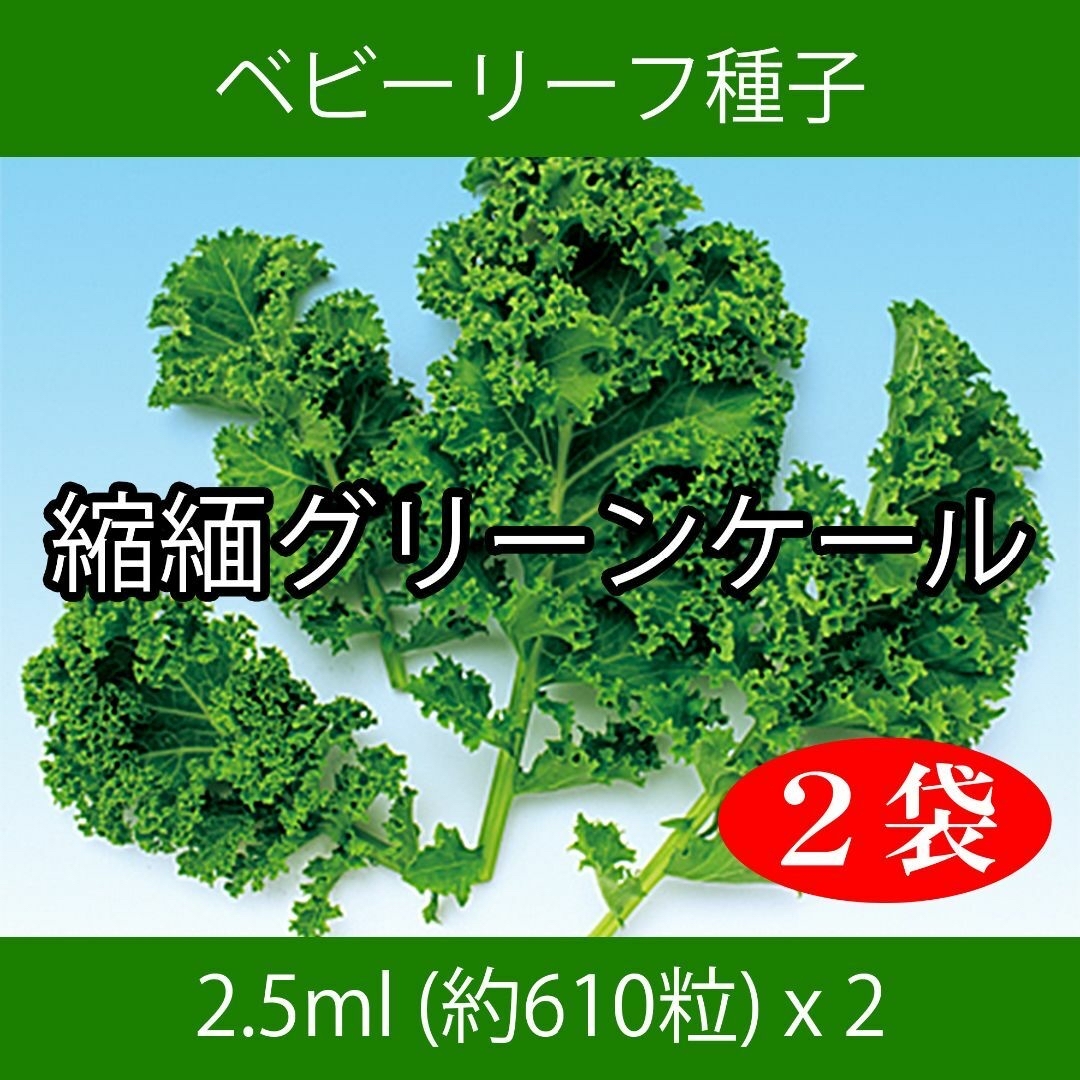RU-KA様専用　セレクト種子　2点 食品/飲料/酒の食品(野菜)の商品写真