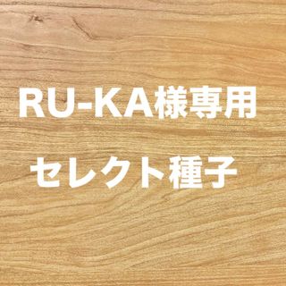 RU-KA様専用　セレクト種子　2点(野菜)