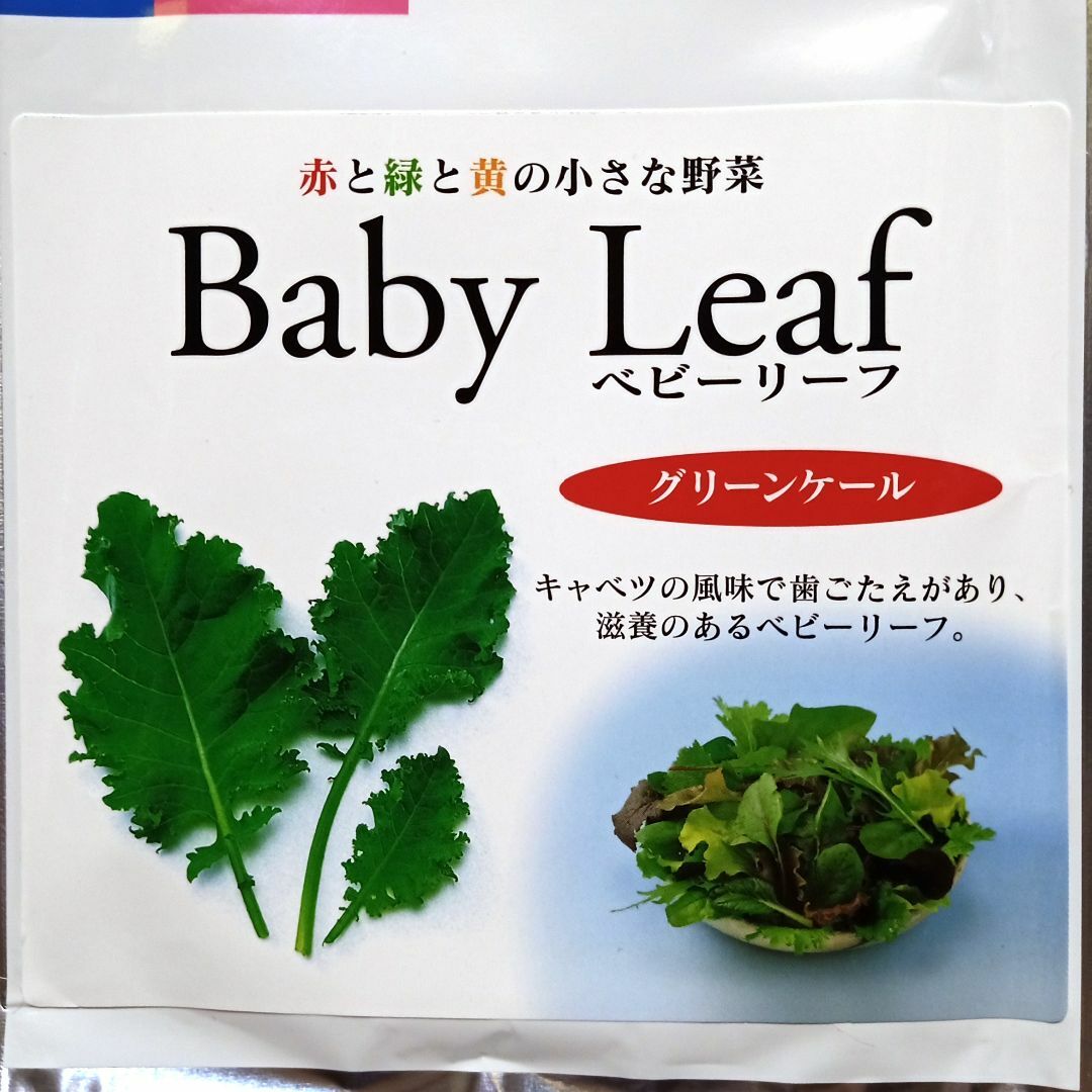 ベビーリーフ種子 B-34 グリーンケール 2.5ml 約260粒 x 2袋 食品/飲料/酒の食品(野菜)の商品写真