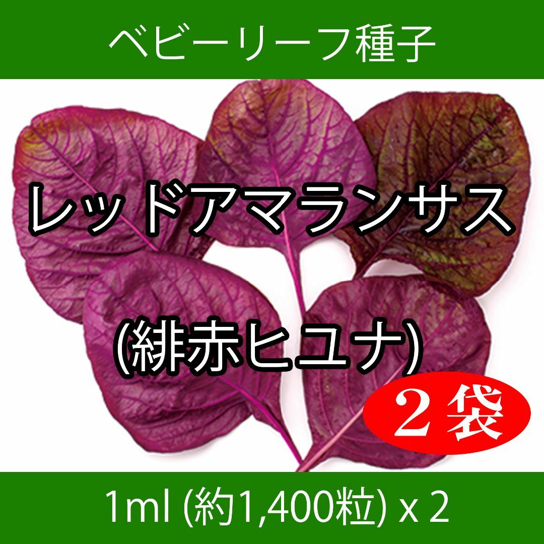 ベビーリーフ種子 B-38 レッドアマランサス(緋赤ヒユナ) 1ml x 2袋 食品/飲料/酒の食品(野菜)の商品写真