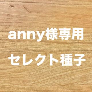 anny様専用　セレクト種子　4点(野菜)