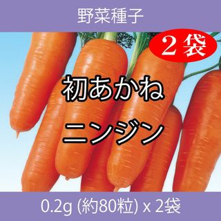 野菜種子 ECK 初あかねニンジン 0.2g (約80粒) x 2袋(野菜)