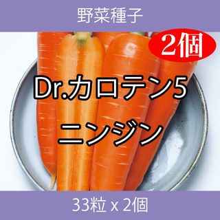 野菜種子 TVF02 Dr.カロテン5ニンジン 33粒 x 2個(野菜)