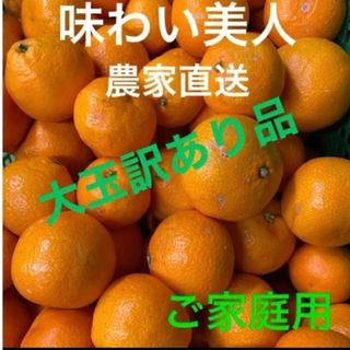 有田みかん農家直送⭐️訳あり大玉ご家庭用箱込み10キロ(フルーツ)