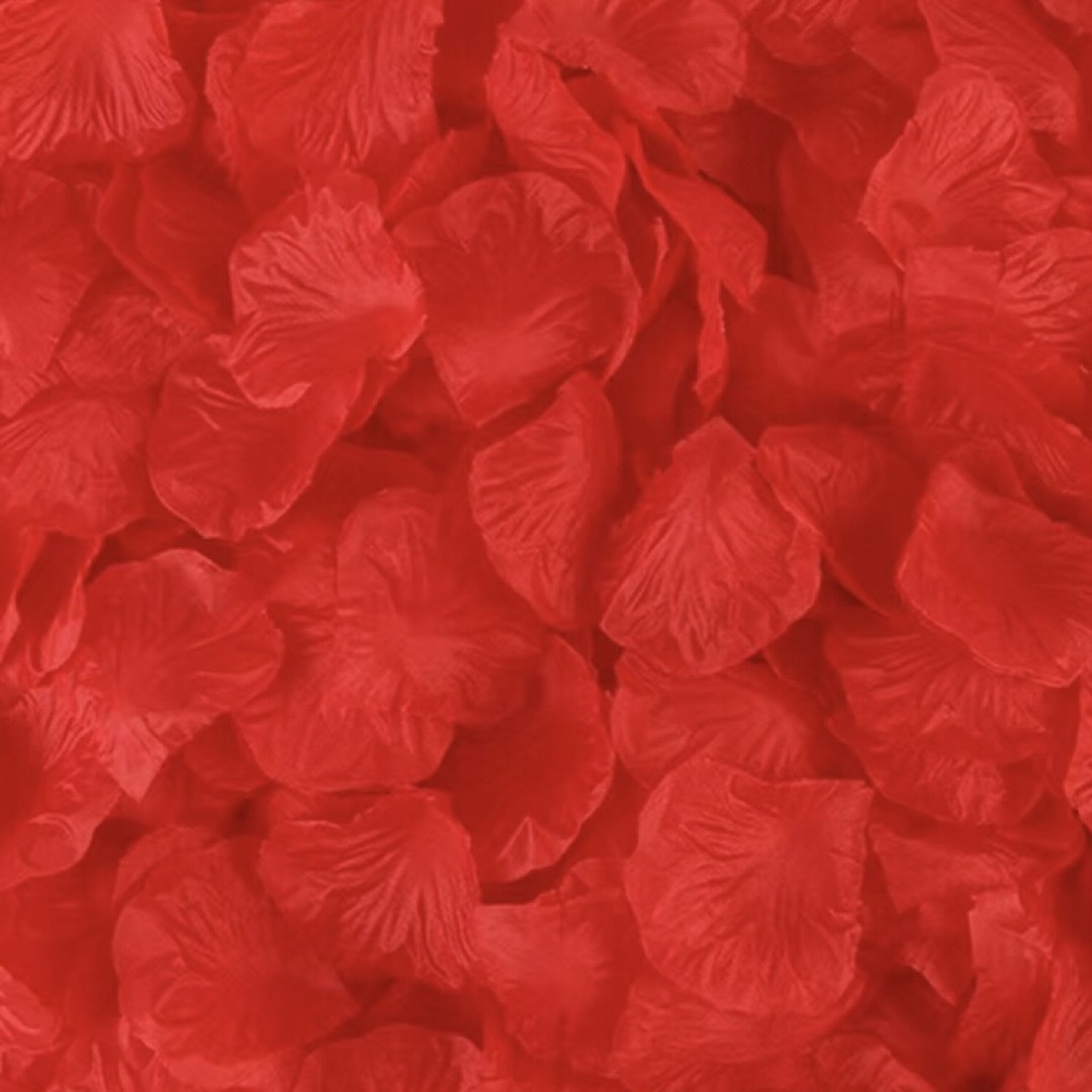 フラワーシャワー 花びら 1000枚入り レッド 赤色 ハンドメイドのウェディング(ウェルカムボード)の商品写真