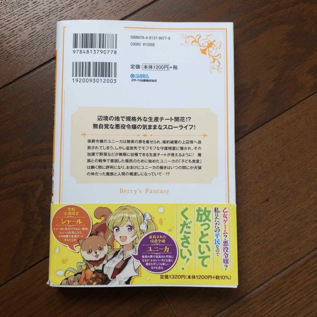 追放された元悪役令嬢、スローライフで領地改革中!～辺境で生産チートが覚醒したも… エンタメ/ホビーの本(文学/小説)の商品写真