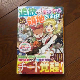 追放された元悪役令嬢、スローライフで領地改革中!～辺境で生産チートが覚醒したも…(文学/小説)