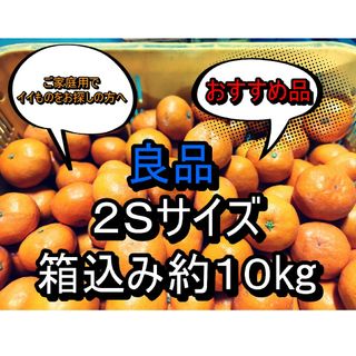 越冬木熟みかん　良品　２Ｓ 箱込み約10㌔(フルーツ)