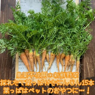 農薬不使用＊新鮮野菜＊採れたて葉っぱ付き間引きにんじん＊うさぎのおやつ＊ネコポス(野菜)