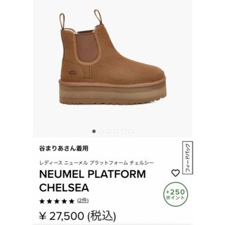 シープスキンヴァンプライニングUGG  タズリータ Chestnut チェスナット　24cm