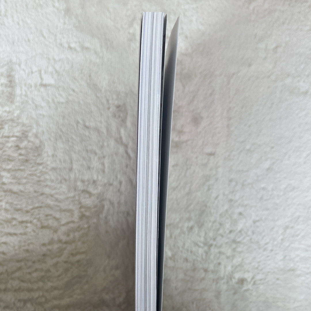 「ＴＨＥ　ＭＯＤＥＬ　ＳＮＡＰ」　2013年 エンタメ/ホビーの本(ファッション/美容)の商品写真