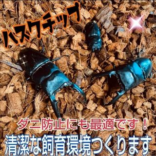 クワガタ・カブトムシの成虫飼育に　ハスクチップ【5L】転倒防止・消臭・ダニ防止に(爬虫類/両生類用品)