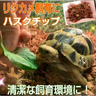 リクガメの飼育に　ハスクチップ【10L】転倒防止・消臭・ダニ防止　カブトムシにも(爬虫類/両生類用品)