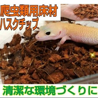 爬虫類の飼育に最適　ハスクチップ【5L】転倒防止・消臭・ダニ防止に！クワガタにも(爬虫類/両生類用品)