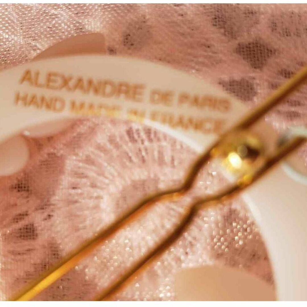 Alexandre de Paris(アレクサンドルドゥパリ)の＊ALEXANDRE DE PARIS＊【AUBE】 レディースのヘアアクセサリー(ヘアピン)の商品写真