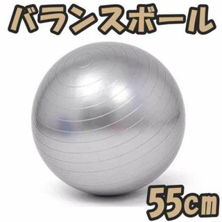 バランスボール ジム ヨガ フィットネス シルバー  55cm  シルバー(トレーニング用品)