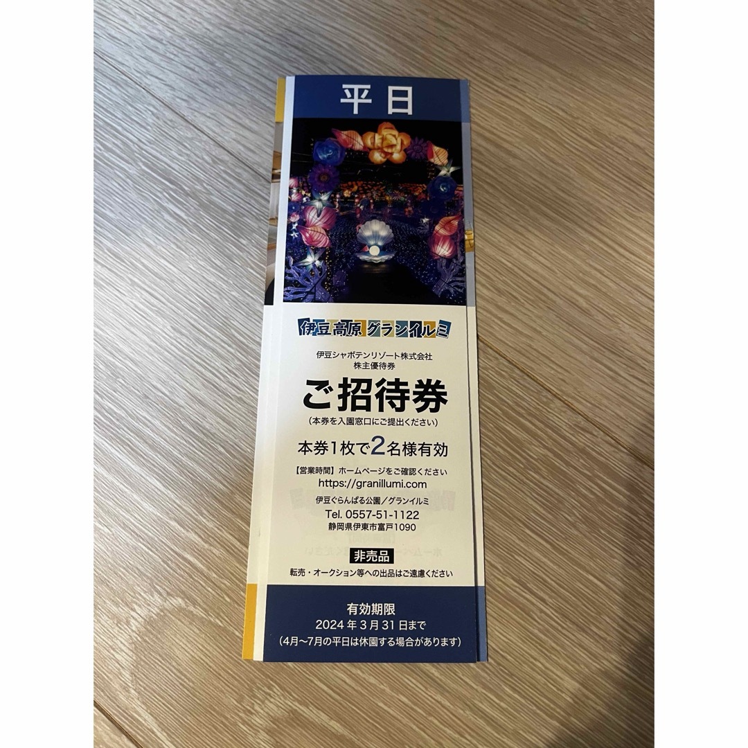 伊豆高原　グランイルミ　平日ペアチケット チケットの施設利用券(遊園地/テーマパーク)の商品写真