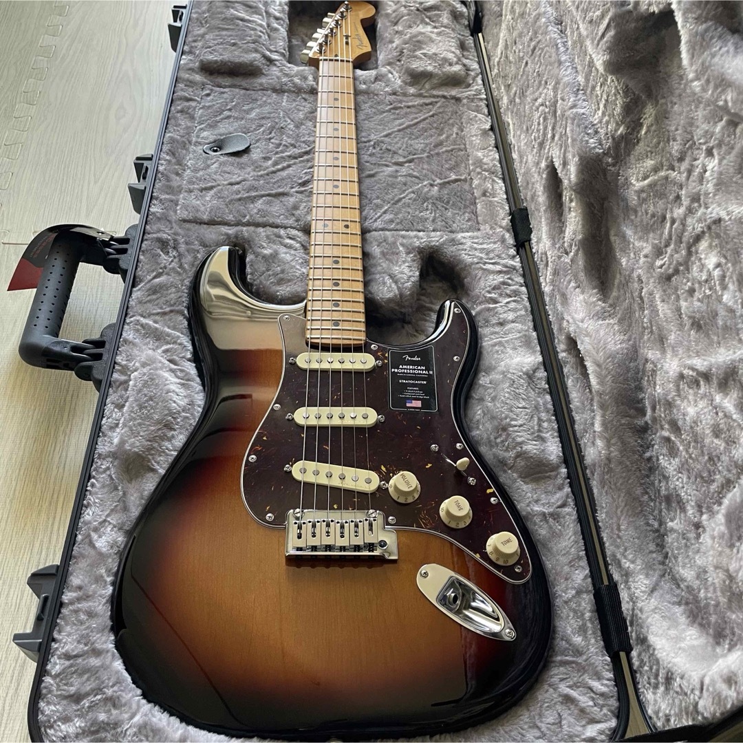 Fender(フェンダー)のfender player plus ストラト　フェンダー 楽器のギター(エレキギター)の商品写真