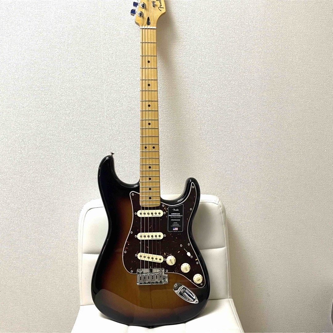 Fender(フェンダー)のfender player plus ストラト　フェンダー 楽器のギター(エレキギター)の商品写真