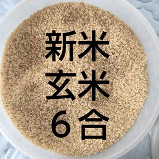 令和5年 新米 玄米6合★お試し  岐阜ハツシモ  食べ比べ(米/穀物)