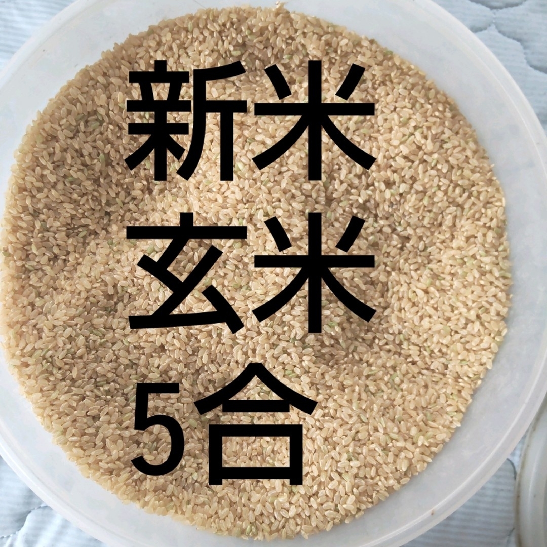 令和5年 新米 玄米5合★お試し  岐阜ハツシモ 食べ比べ 食品/飲料/酒の食品(米/穀物)の商品写真