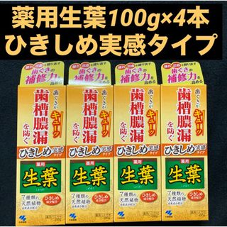 コバヤシセイヤク(小林製薬)の薬用ハミガキ 小林製薬 薬用生葉ひきしめ実感タイプ 歯槽膿漏防ぐ 100g×4本(歯磨き粉)