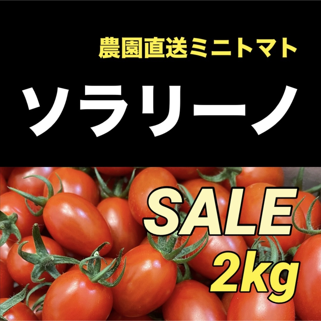 【特売♡】ソラリーノ　2kg　プリッとコクうま　新鮮　高糖度　ミニトマト 食品/飲料/酒の食品(野菜)の商品写真