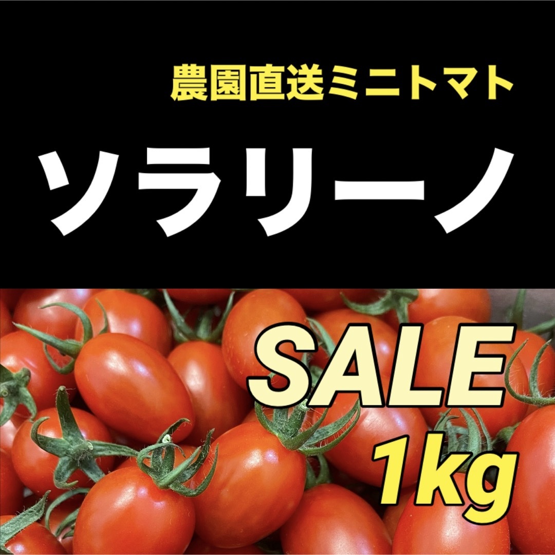 【特売♡】ソラリーノ　1kg　プリッとコクうま　新鮮　高糖度　ミニトマト 食品/飲料/酒の食品(野菜)の商品写真