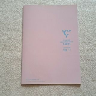 セブンティーン(SEVENTEEN)のSEVENTEEN FC 冊子 1冊 韓国 KｰPOP(ミュージシャン)