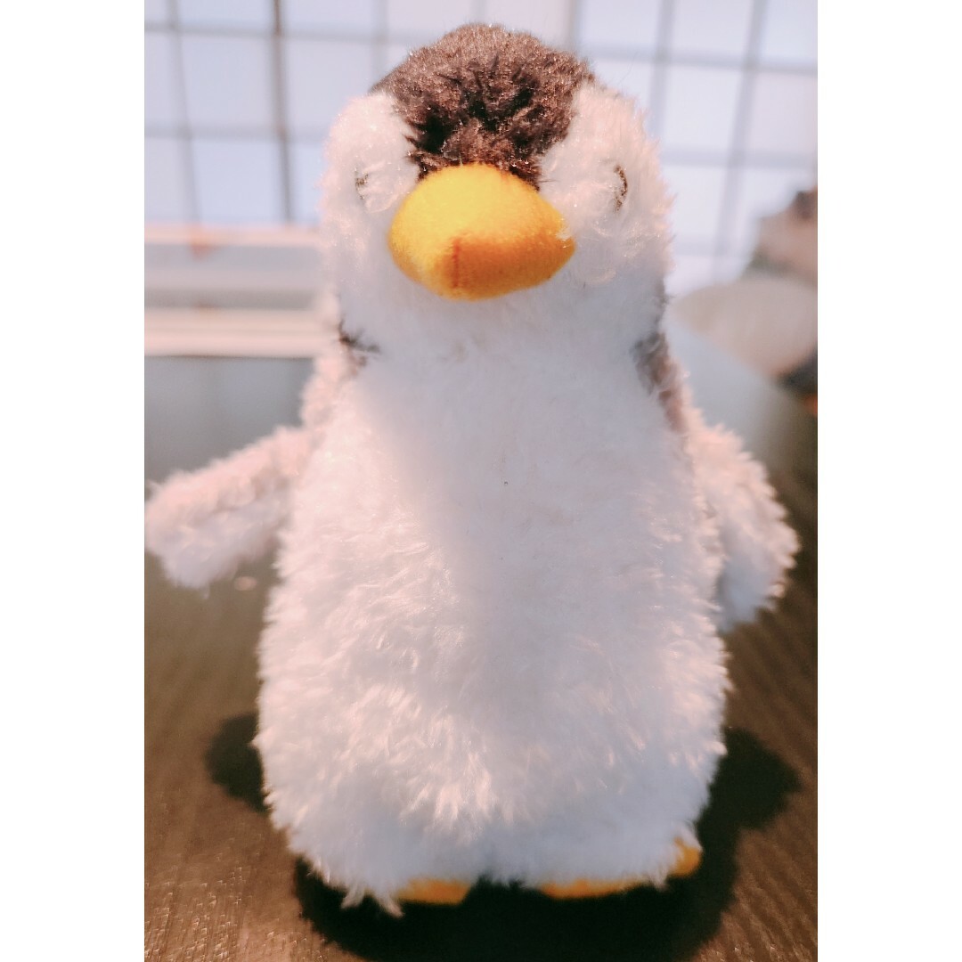 ぬいぐるみ　シロクマ　ペンギン　アザラシ　イルカ エンタメ/ホビーのおもちゃ/ぬいぐるみ(ぬいぐるみ)の商品写真