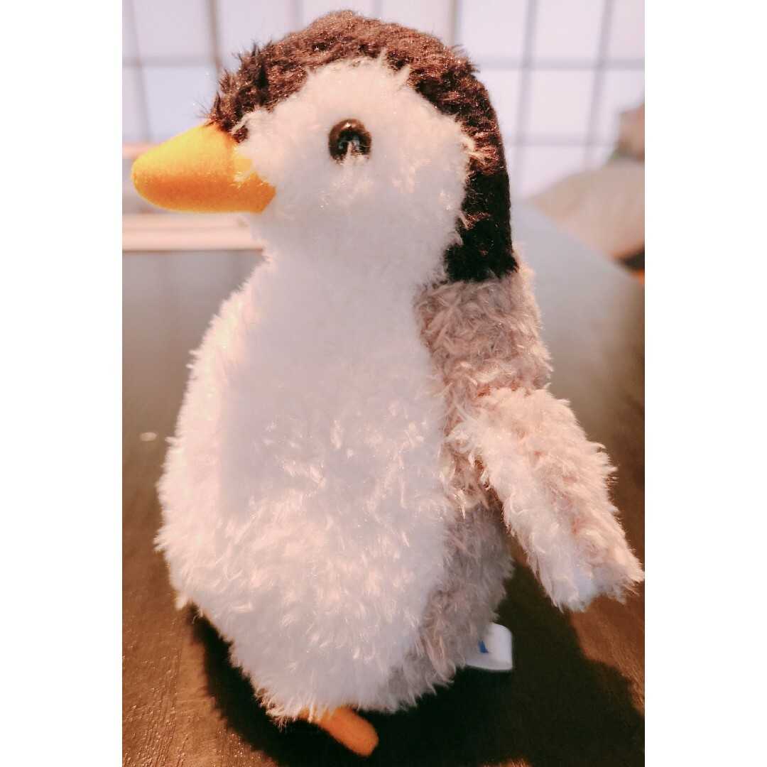 ぬいぐるみ　シロクマ　ペンギン　アザラシ　イルカ エンタメ/ホビーのおもちゃ/ぬいぐるみ(ぬいぐるみ)の商品写真