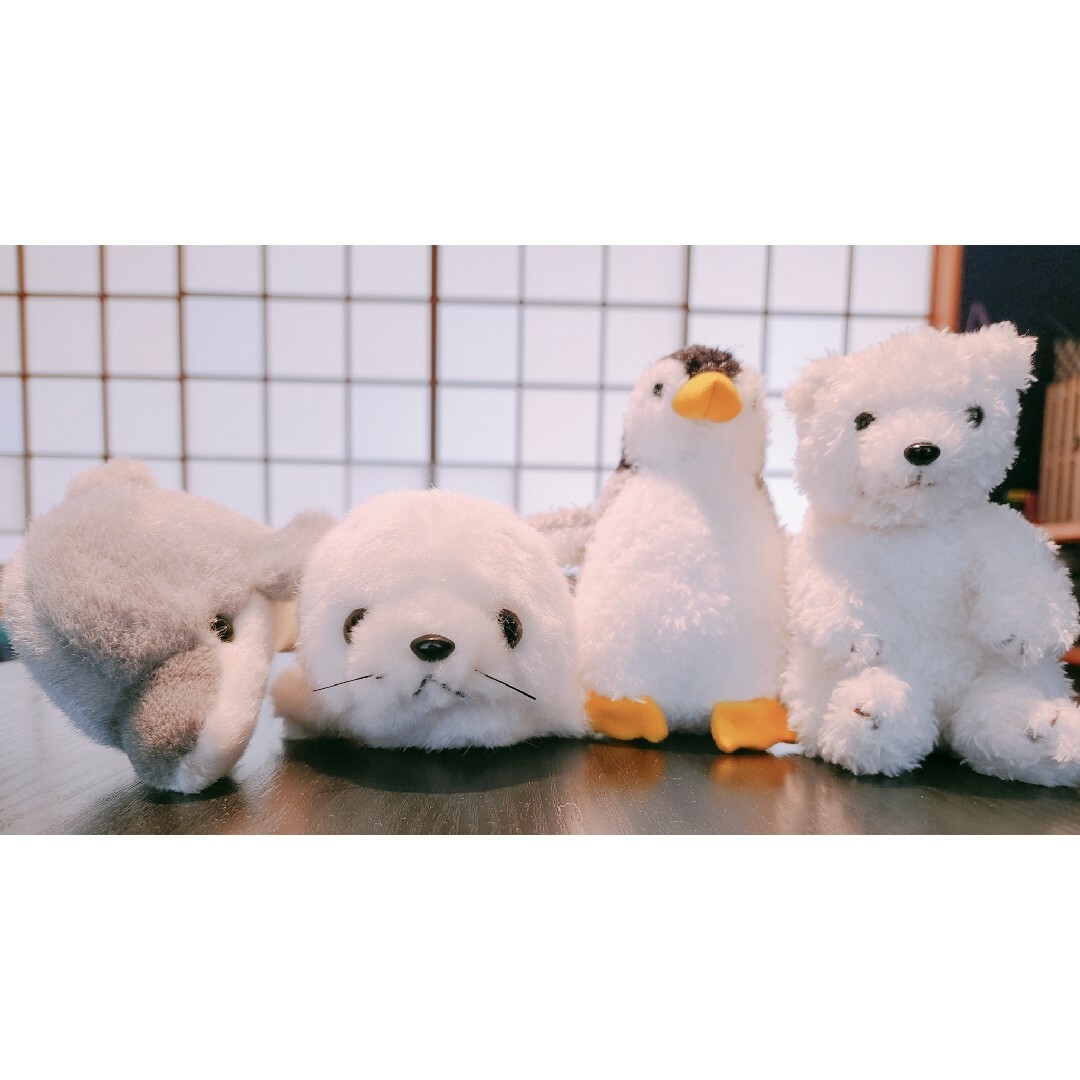 ぬいぐるみ　シロクマ　ペンギン　アザラシ　イルカ エンタメ/ホビーのおもちゃ/ぬいぐるみ(ぬいぐるみ)の商品写真